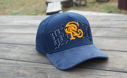 DENVER BORN HAT 🔥🙌